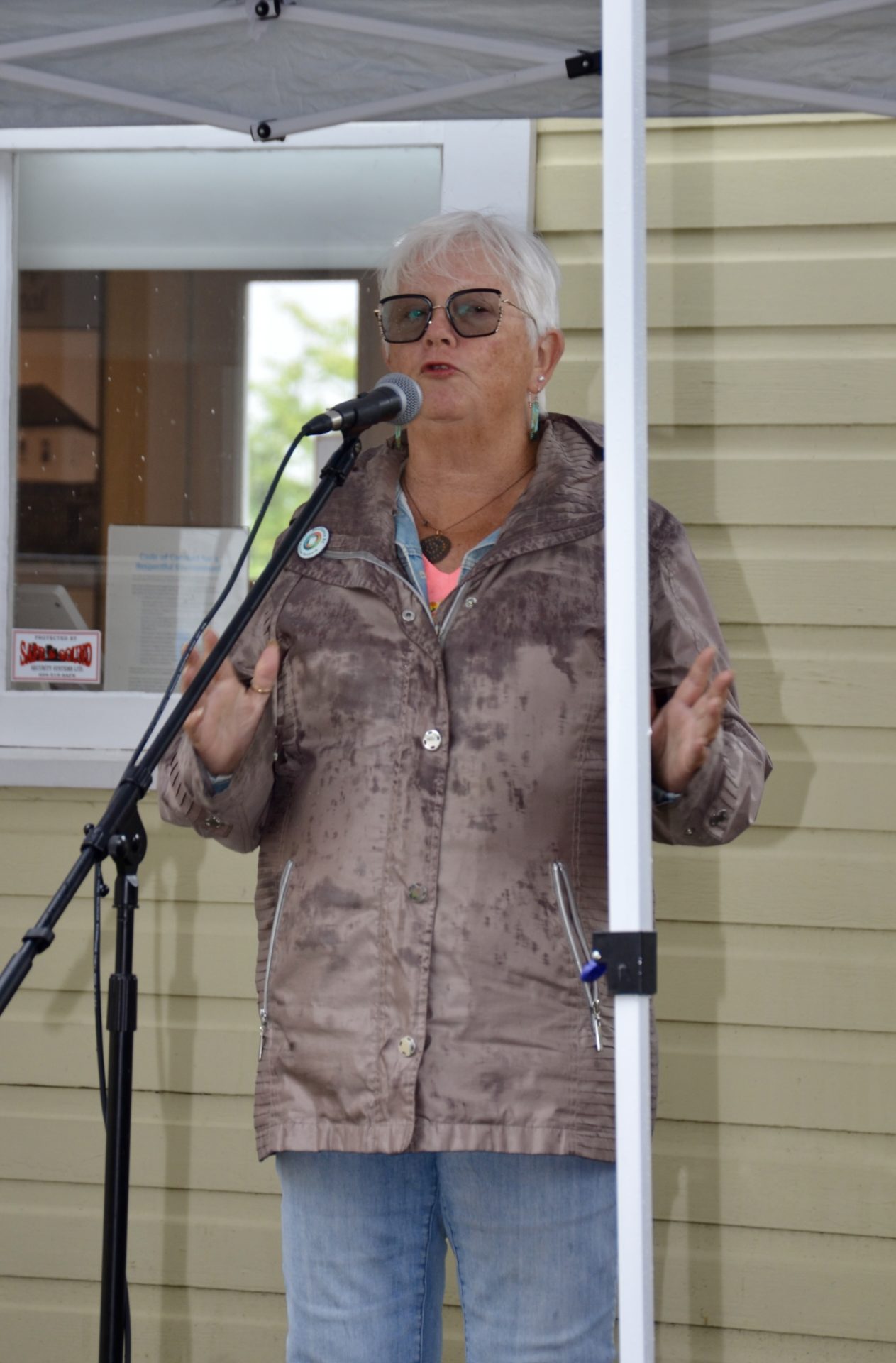 Welcome from Co-Chair Linda Barnes